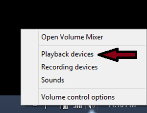 Playback Devices Windows Microphone