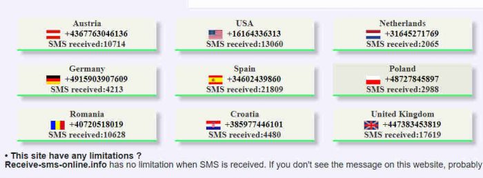 ReceiveSMSOnline.info