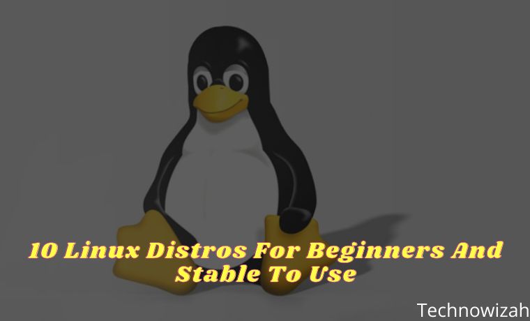 10 Linux Distros For Beginners And Stable To Use