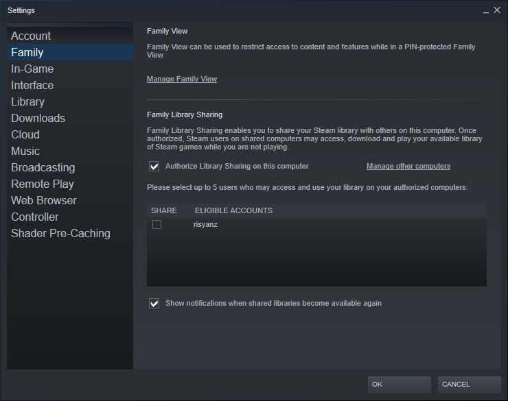 Authorize PC For Steam Family Sharing