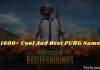 1600+ Cool And Best PUBG Name 2024 1600+ Cool And Best PUBG Name