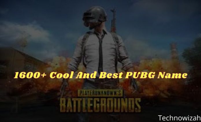 1600-cool-and-best-pubg-name-2023-technowizah