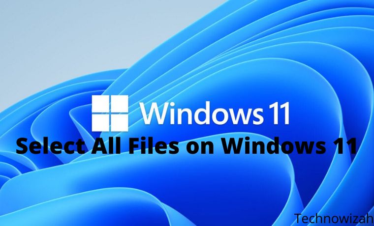 How to Select All Files on Windows 11 PC Laptop