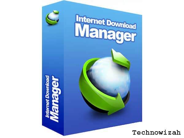 Internet Download Manager (IDM) function