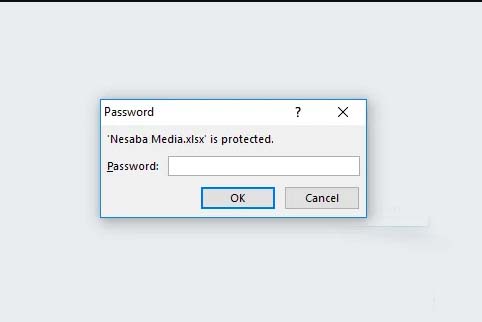 Opening Excel Password Without Application